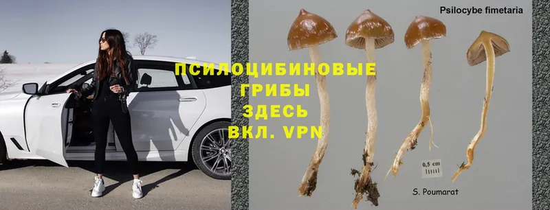 Псилоцибиновые грибы Magic Shrooms  Анива 